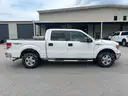2014 Ford F-150 XLT SuperCrew 5.5-ft. Bed 4WD