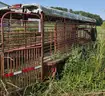 20&#x27; Horse Trailer