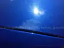 2019 Dodge Grand Caravan SE, 3.6L V6, Lic. #10067