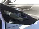 2019 Chevrolet Malibu Fleet, 1.5L, Lic. #8638