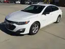 2019 Chevrolet Malibu Fleet, 1.5L, Lic. #8638