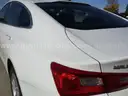2019 Chevrolet Malibu Fleet, 1.5L, Lic. #8638