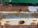 2016 Freightliner M2 106 Roll Off Truck, Lic. 8687