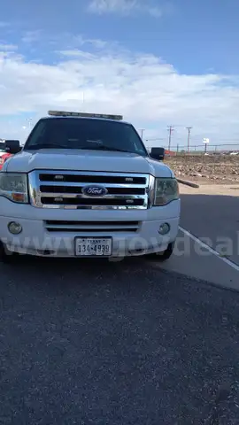 2010 Ford Expedition