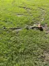 GROUP OF WEED TRIMMERS