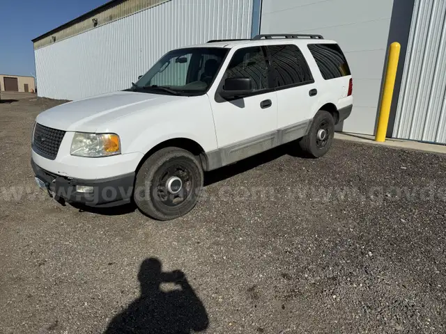2006 Ford Expedition