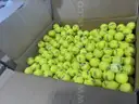 RANGE BALLS