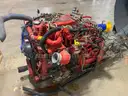 Engine and Transmission from a 2021 Bluebird school bus