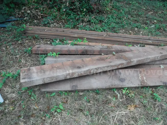 Lot of Lumber