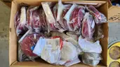 Lot of Various School Bus/Car Parts