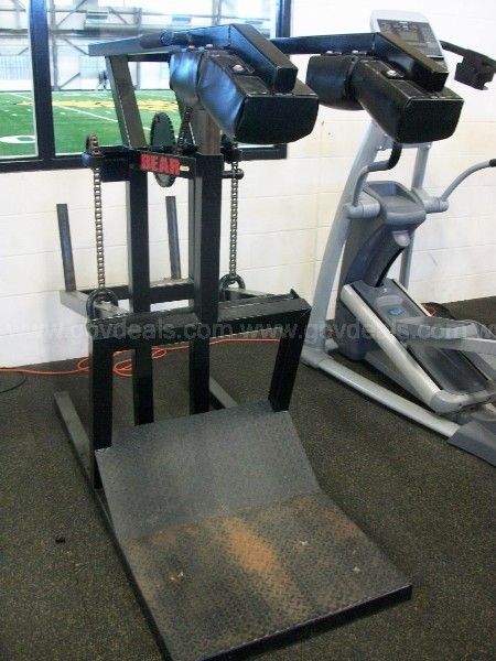 bear squat machine for sale