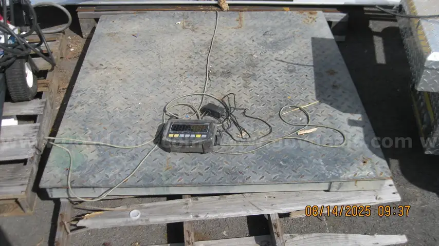 Pinnacle PS 500 Bulk Scale