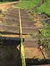 Small Root Rake