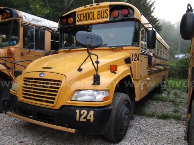 2012 Blue Bird Vision
