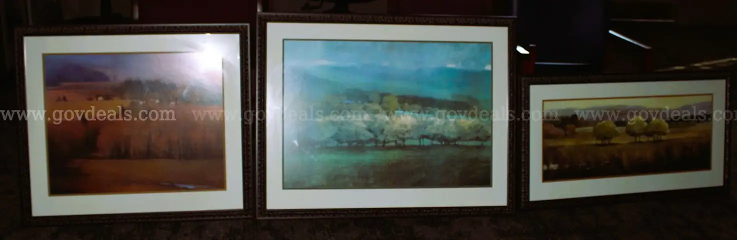 Five(5) Pictures ready to mount on wall