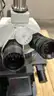 Leica DM6000B Microscope