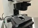 Olympus BX60 Inverted Microscope