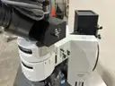Olympus BX60 Inverted Microscope