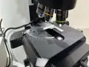 Olympus BX60 Inverted Microscope
