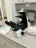 Nikon Microscope