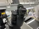 Nikon Microscope