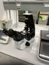 Nikon Microscope