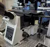 Olympus IX73 Inverted FURA-2 Imaging Microscope