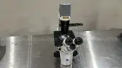 Zeiss Primovert Microscope