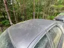 2009 Ford Crown Victoria
