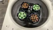 Sorvall Legend RT Centrifuge