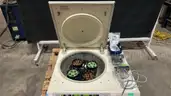 Sorvall Legend RT Centrifuge