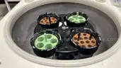 Sorvall Legend RT Centrifuge