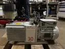 Vacuum Pumps: Two Edwards EM30 and One Edwards RV3