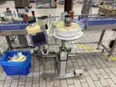 Carle Montanari Chocolate Moulding Line for Small Eggs and Balls, Foil Wrappers, Weigh Counters and Baggers