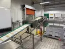 Carle Montanari Chocolate Moulding Line for Small Eggs and Balls, Foil Wrappers, Weigh Counters and Baggers