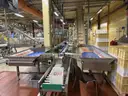 Carle Montanari Chocolate Moulding Line for Small Eggs and Balls, Foil Wrappers, Weigh Counters and Baggers