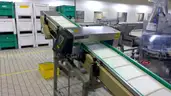 Carle Montanari Chocolate Moulding Line for Small Eggs and Balls, Foil Wrappers, Weigh Counters and Baggers