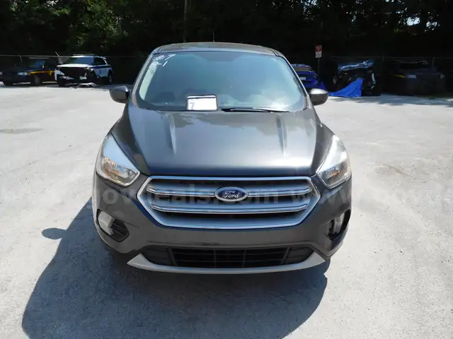2019 Ford Escape