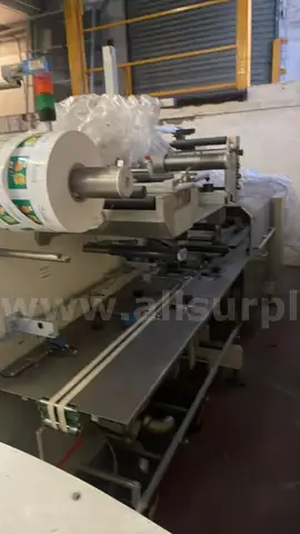 Tega Speedfin Horizontal Flow Wrapping Machine (1995)