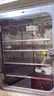 Thermo Scientific Steri Cycle 370 CO2 Dual Stack Incubators
