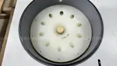 ThermoFisher Scientific Savant SPD1010 Speedvac Concentrator