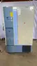 Thermo Fisher Scientific 8607 Ultra-Low Freezer