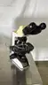 Nikon Eclipse E200 Compound Microscope, 40X to 1000X Magnification