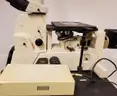 Nikon Epiphot 300 Inverted Microscope