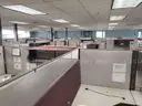 Herman Miller Cubicle Sections, 67in H