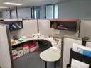 Herman Miller Cubicle Sections, 67in H