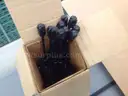 107ea MRO Equipment