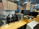 Lot of Monitors, iMacs, Dell AIO&#x27;s