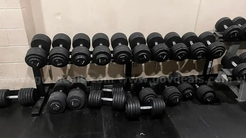 DUMBBELLS & 2 DUMBBELL RACKS