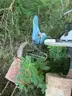Used Playground Equipment